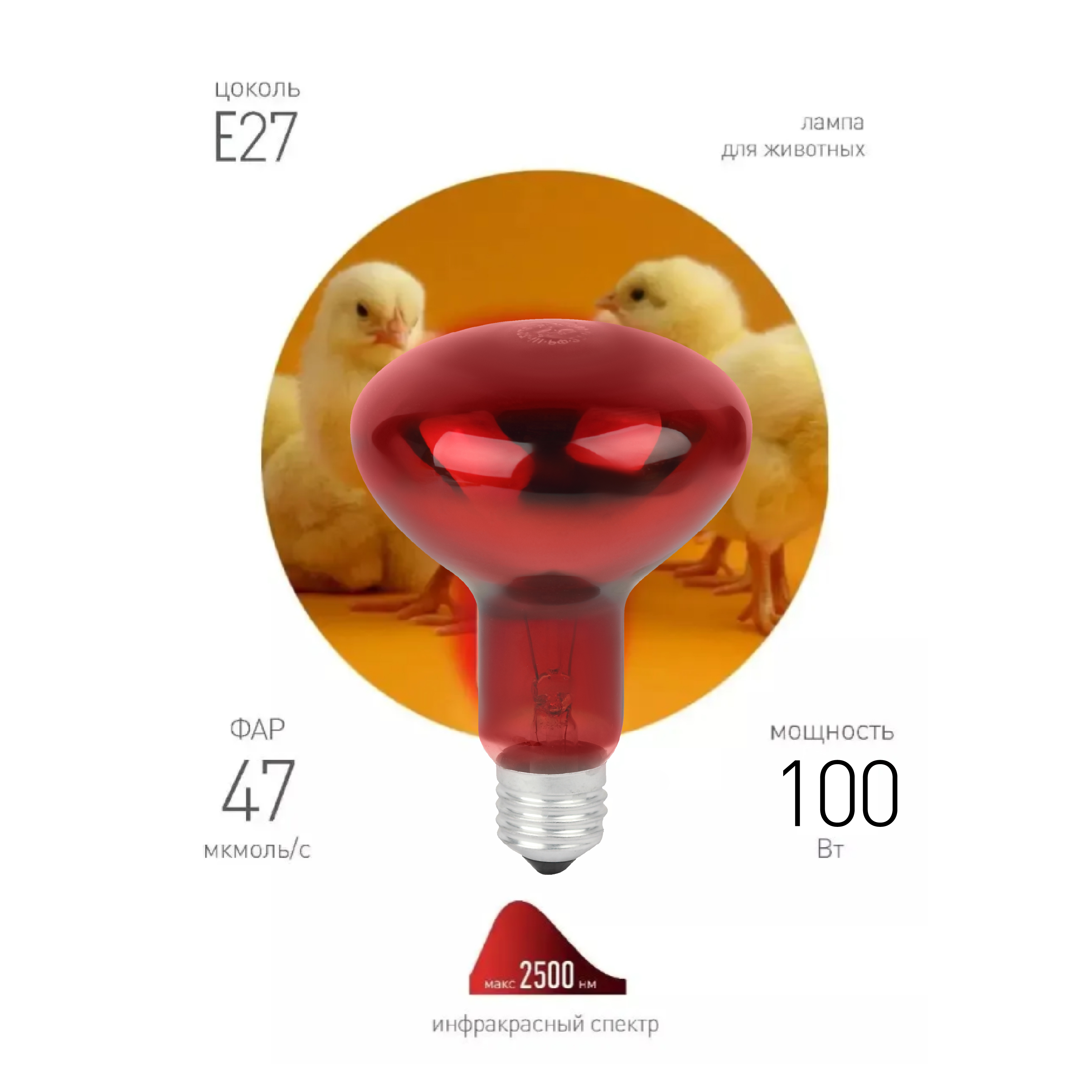 Комплект из 2-х инфракрасных ламп ЭРА ИКЗК 230-100 R95 E27 для курятника цыплят птиц животных/лампа для обогрева