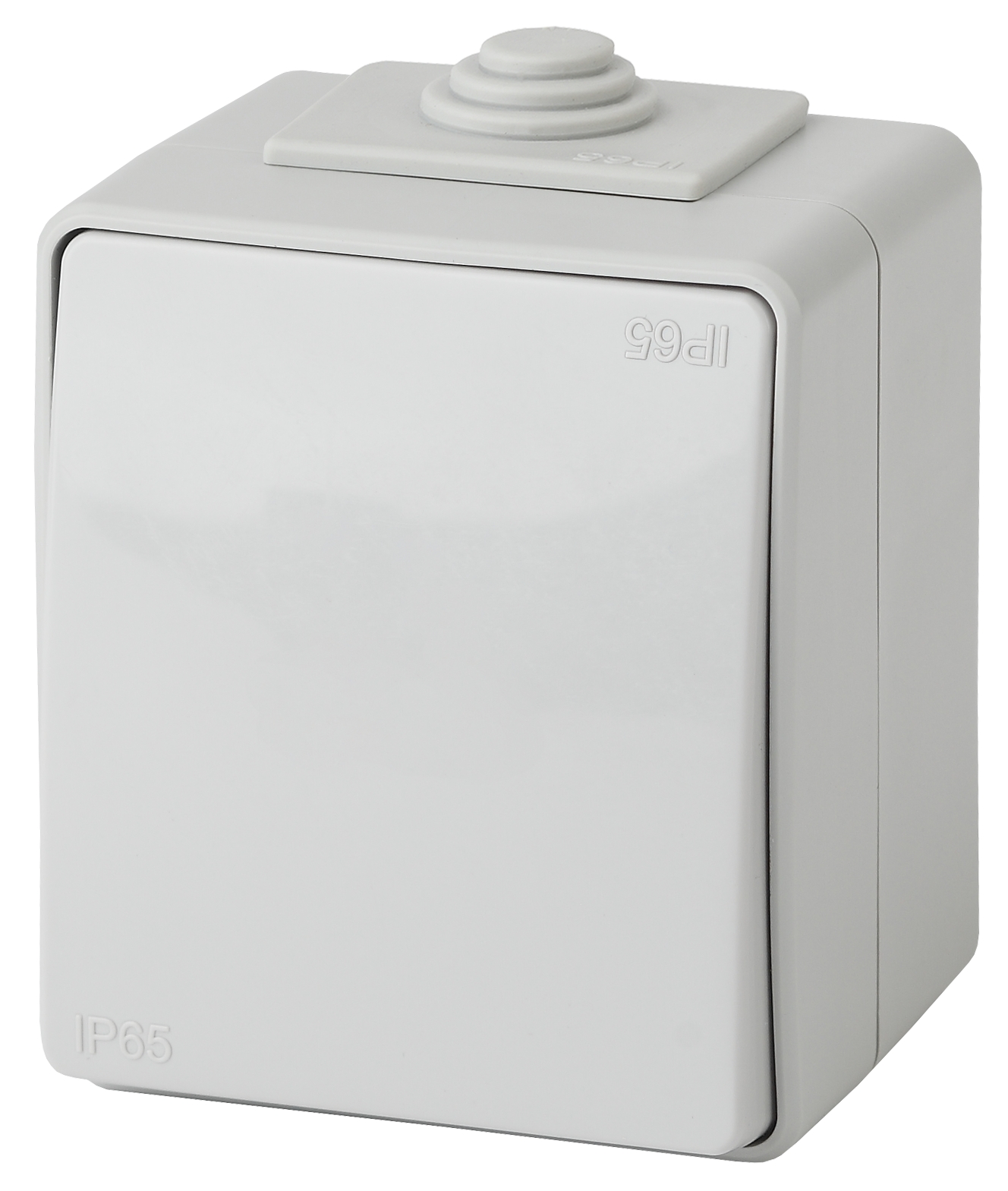 Переключатель ЭРА Эксперт 11-1603-03 IP65 10АХ-250В ОУ серый