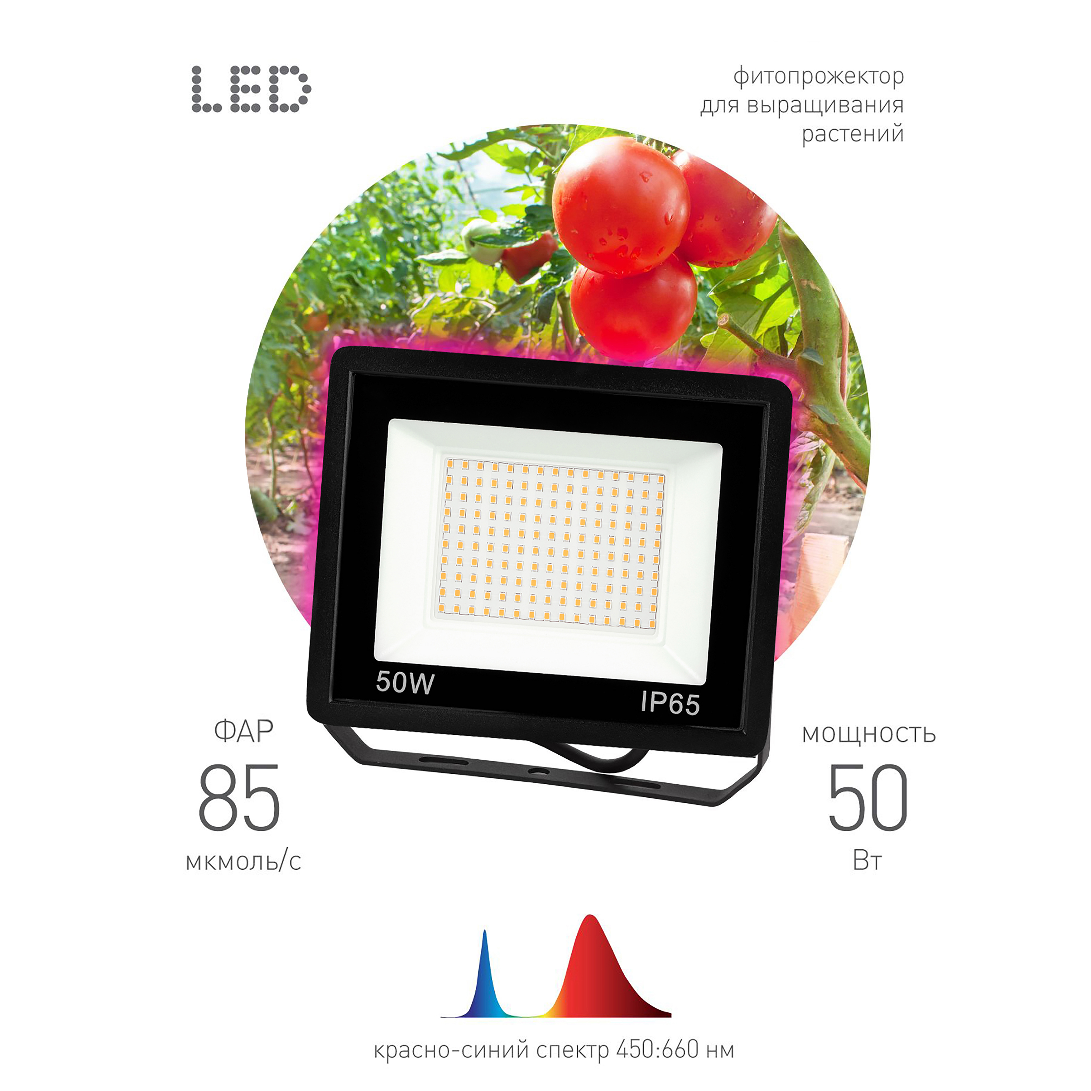 Фитопрожектор для растений светодиодный ЭРА FITO-50W-RB-LED для цветения и плодоношения красно-синего спектра 50 Вт