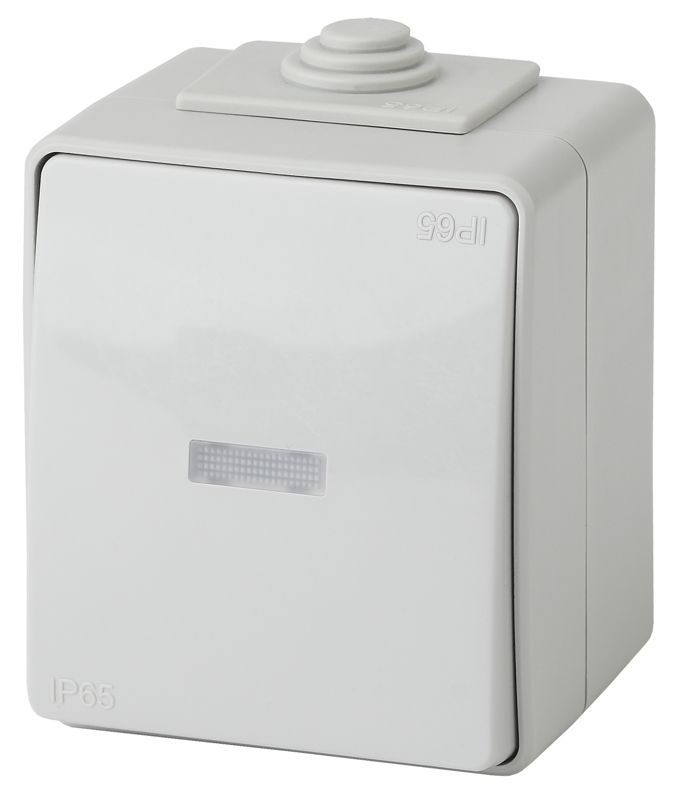 Переключатель ЭРА Эксперт 11-1610-03 с подсветкой IP65 10АХ-250В ОУ серый