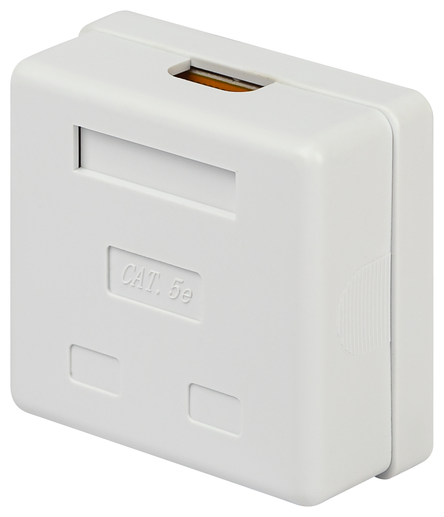 Розетка компьютерная RJ-45 ЭРА RJ02UN категория 5е неэкранированная 2-порта упаковка 30 шт