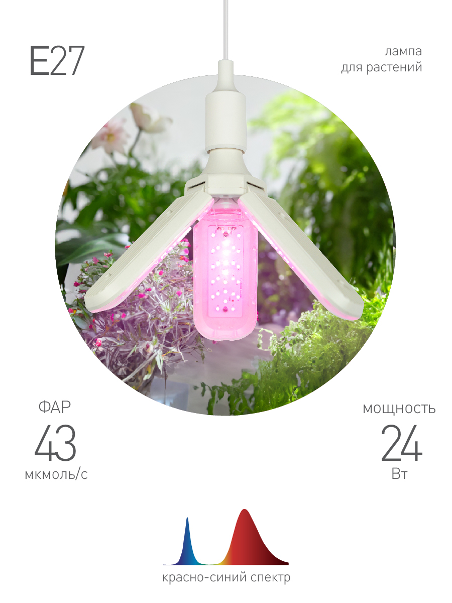 Фитолампа для растений светодиодная ЭРА FITO-24W-RB-E27-FOLD 3-х лепестковая красно-синего спектра 24 Вт Е27