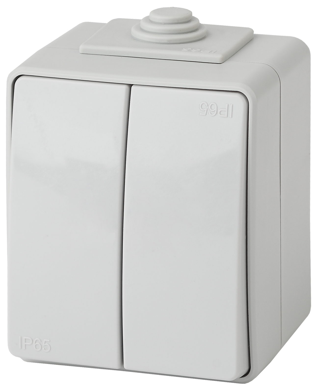 Переключатель ЭРА Эксперт 11-1606-03 двойной IP65 10АХ-250В ОУ серый