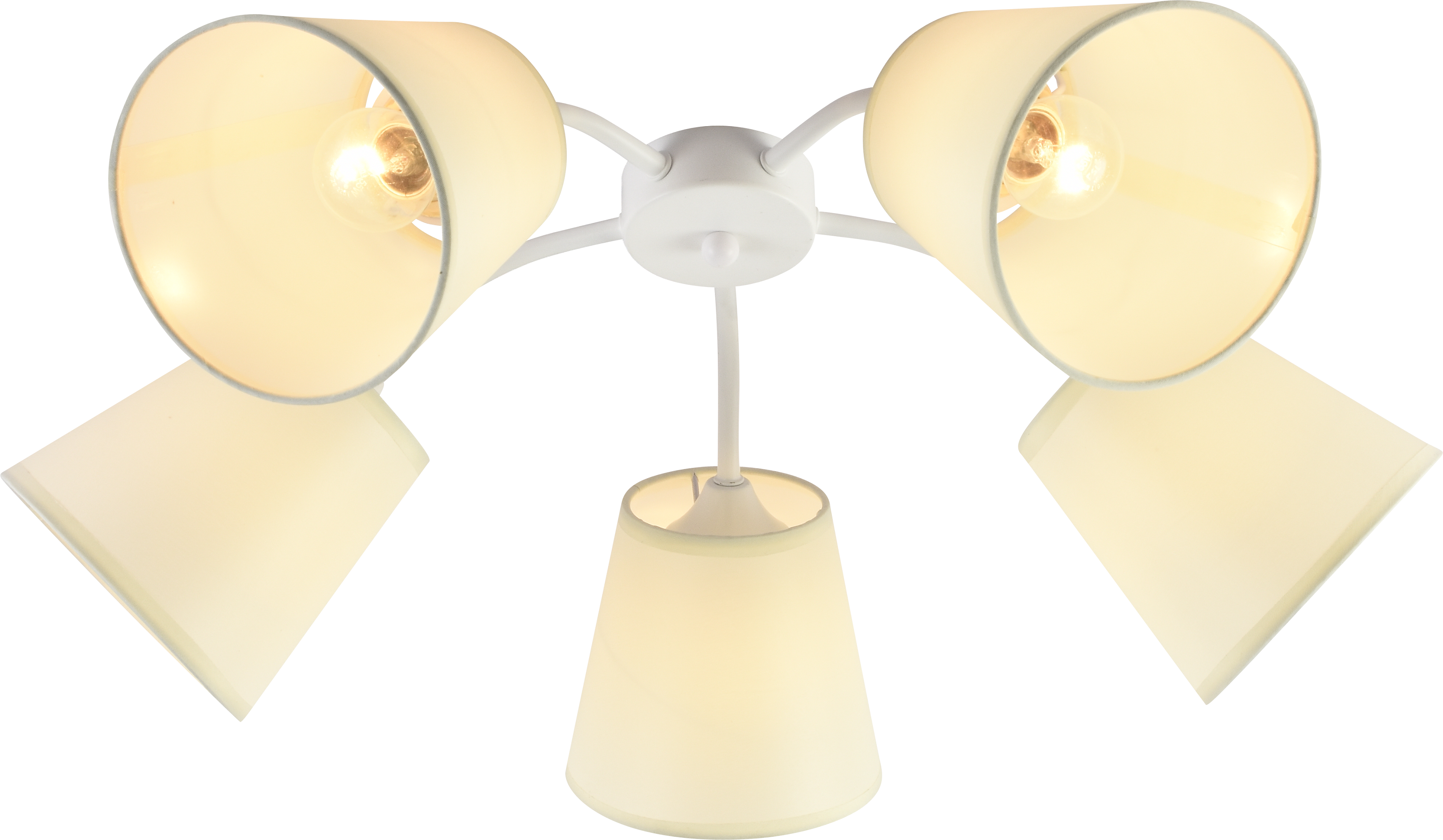 Люстра Rivoli Aimee 9162-305 5 х Е27 60 Вт модерн
