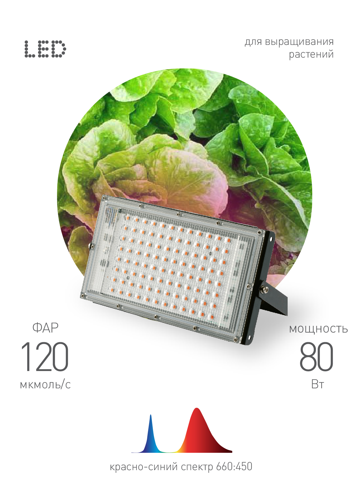 Фитопрожектор для растений светодиодный ЭРА FITO-80W-RB-LED-Y красно-синего спектра